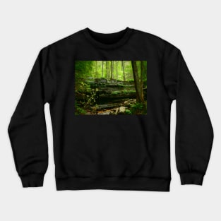 Little Waterfall Crewneck Sweatshirt